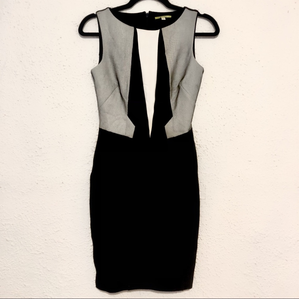 Black & White Professional Sheath Dress